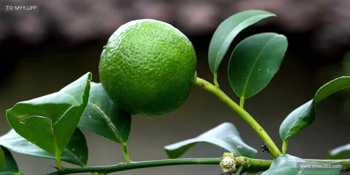 珍藏热爱，从这里开始！🎁🌟